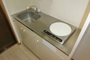 ノースヴィレッジ【2階】のキッチン