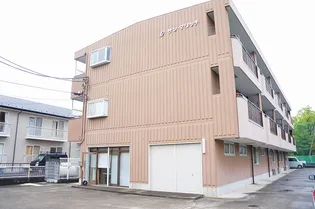 埼玉県さいたま市桜区中島1【マンション】の外観