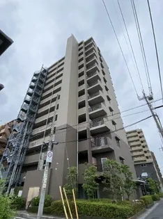 ロワールヒエダの画像