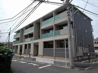 リビエ たまの画像