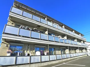 ソレーユの画像