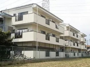 ハイムモリグチの画像