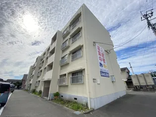 サンキュー春日の画像