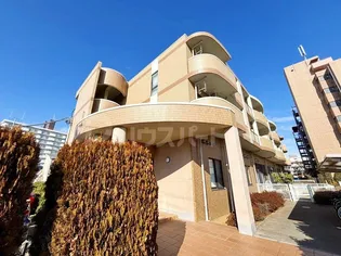 プティネージュの画像