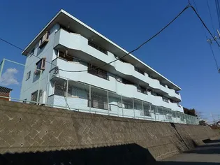 コーポMIZUSAWAIIの画像