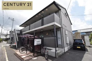 プラムコートの画像