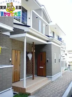 プリムローズBの画像