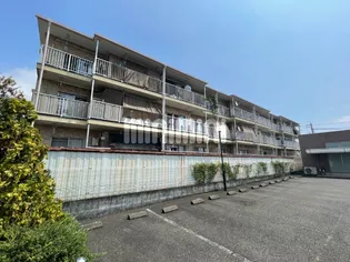 ヴィレッジカミアシの画像