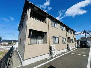 アンジンの画像