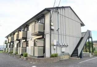 サングリーンの画像