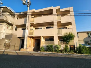 パレ緑地公園の画像