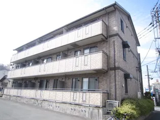 コートクロッカスの画像