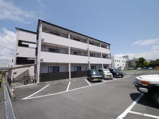 ヴァイオレットWIIの画像