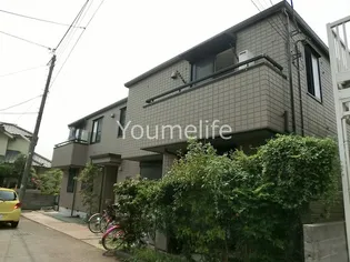 ステラコートの画像