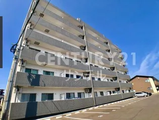 シーテラスの画像