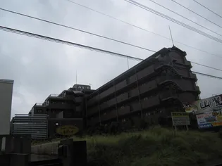 グランドパレスNSー6【3階】の外観