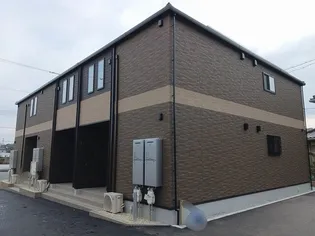 サンフラワーの画像