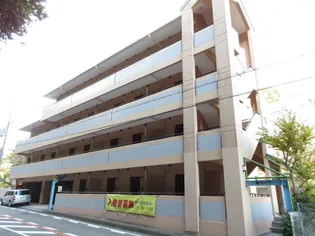 司ハイツ【2階】の外観