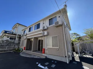 クリザンテームの画像