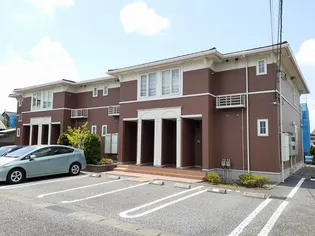 ハナミズキの画像