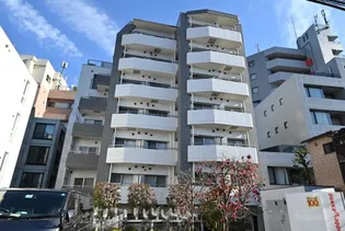 アネシス白山の画像