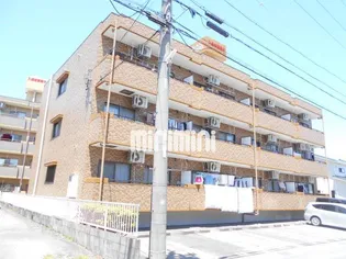 パレスサンゴーの画像