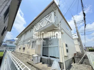 PETER RABIT PLAZA Cの画像