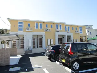 エバーグリーンCの画像