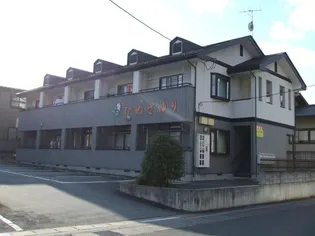 ひめさゆりの画像