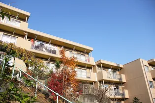 ランド ヒロの画像