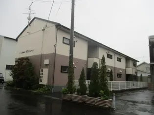 セジュールゼラニュームの画像