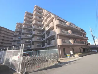 メゾンニュー大宮【7階】の外観