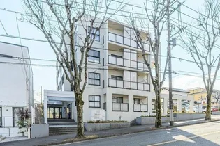 ブルーリーフ Kの画像