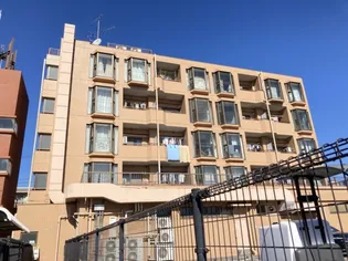 サフランAUの画像