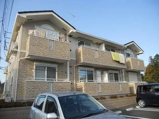 ベラカーサの画像