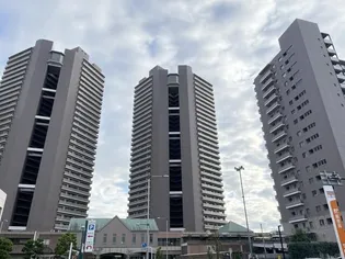 オラリオンサイト二番館【29階】の外観