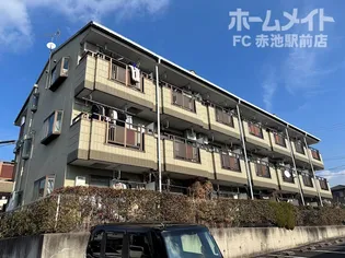 マメゾンT Sの画像