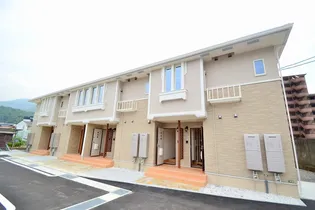 カームリーKの画像