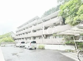 スターダスト晴貞の画像