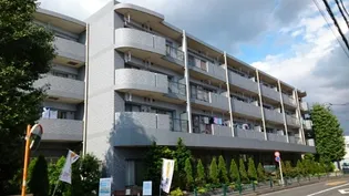 セレノ プラシードの画像