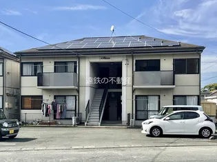 サングリーンオオタの画像