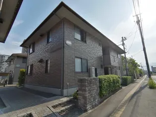 レピィナードIIIの画像