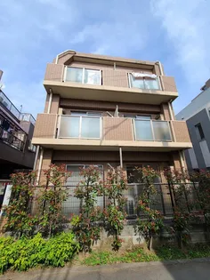 サザンローゼMIIIの画像