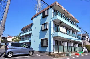 アネックス越谷7期【3階】の外観