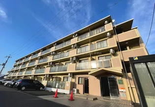 ハイツ宮の森II番館【3階】の外観