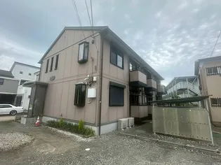 プラシードの画像