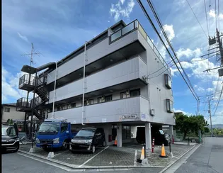 ザ サム ハラの画像