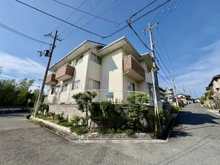 エボニーグローブの画像