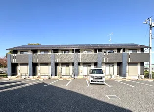 サザンクロスの画像