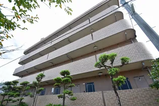 WING TACHIBANAの画像